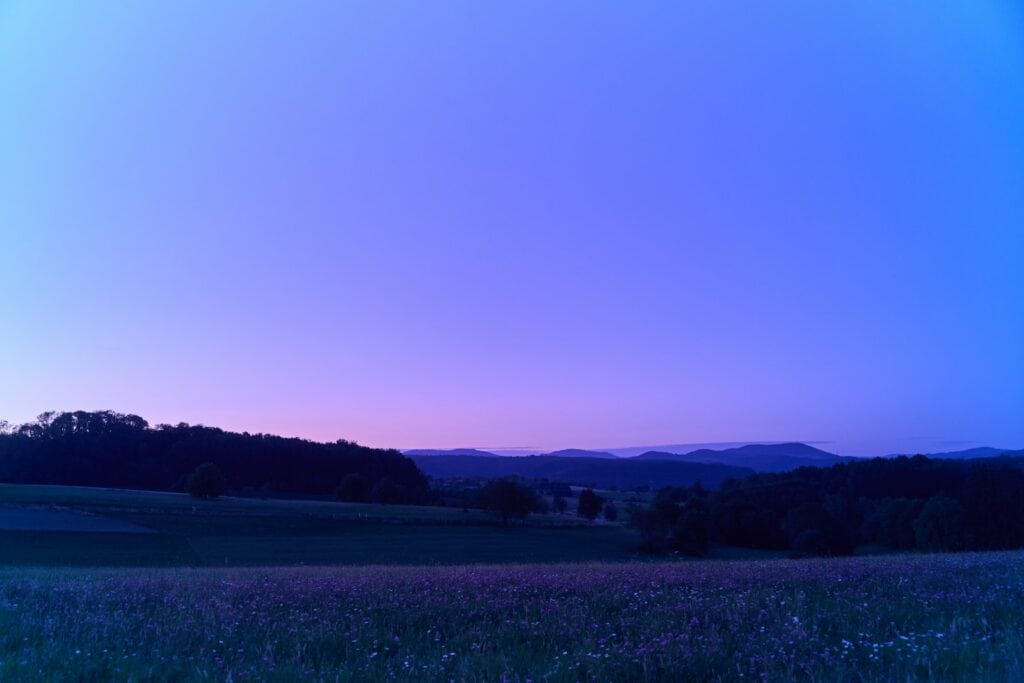 a field of grass with mountains in the background