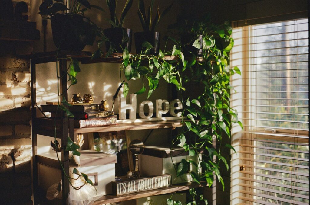 Shelf with plants and the word hope