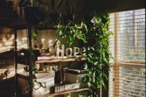 Shelf with plants and the word hope