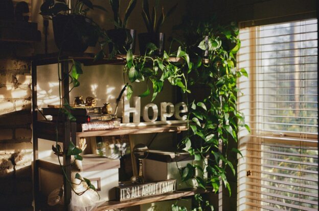 Shelf with plants and the word hope